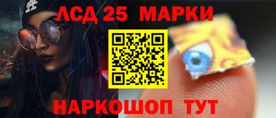 гидропоника Будённовск