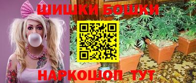 гидропоника Будённовск
