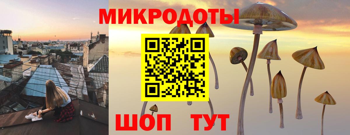 Галлюциногенные грибы Magic Shrooms Первоуральск
